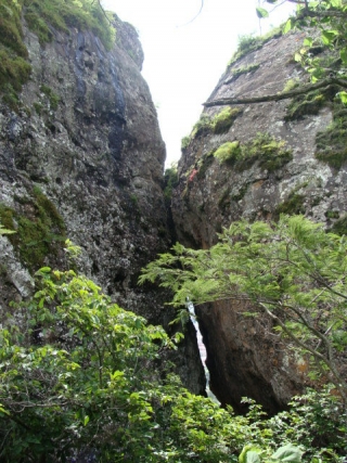 Region de los compadternera